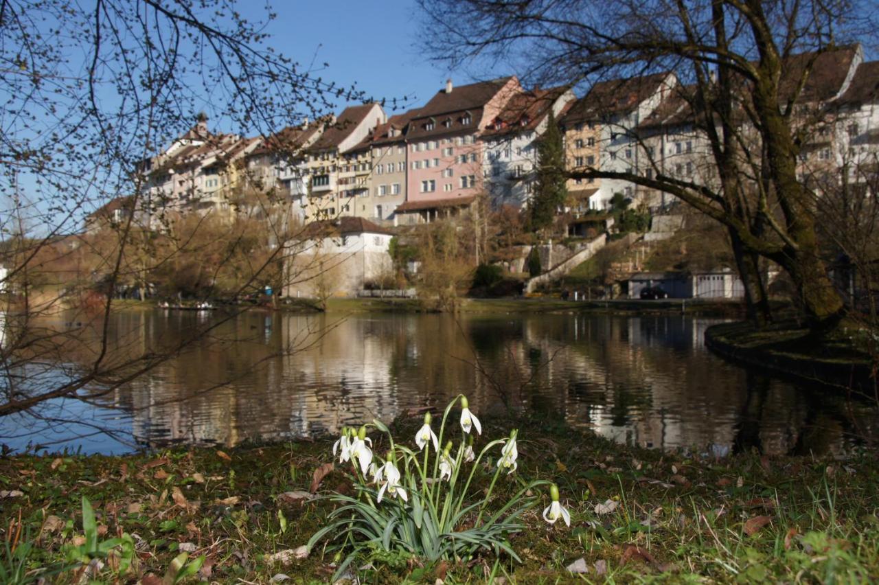 Bett Am Weiher فيل المظهر الخارجي الصورة